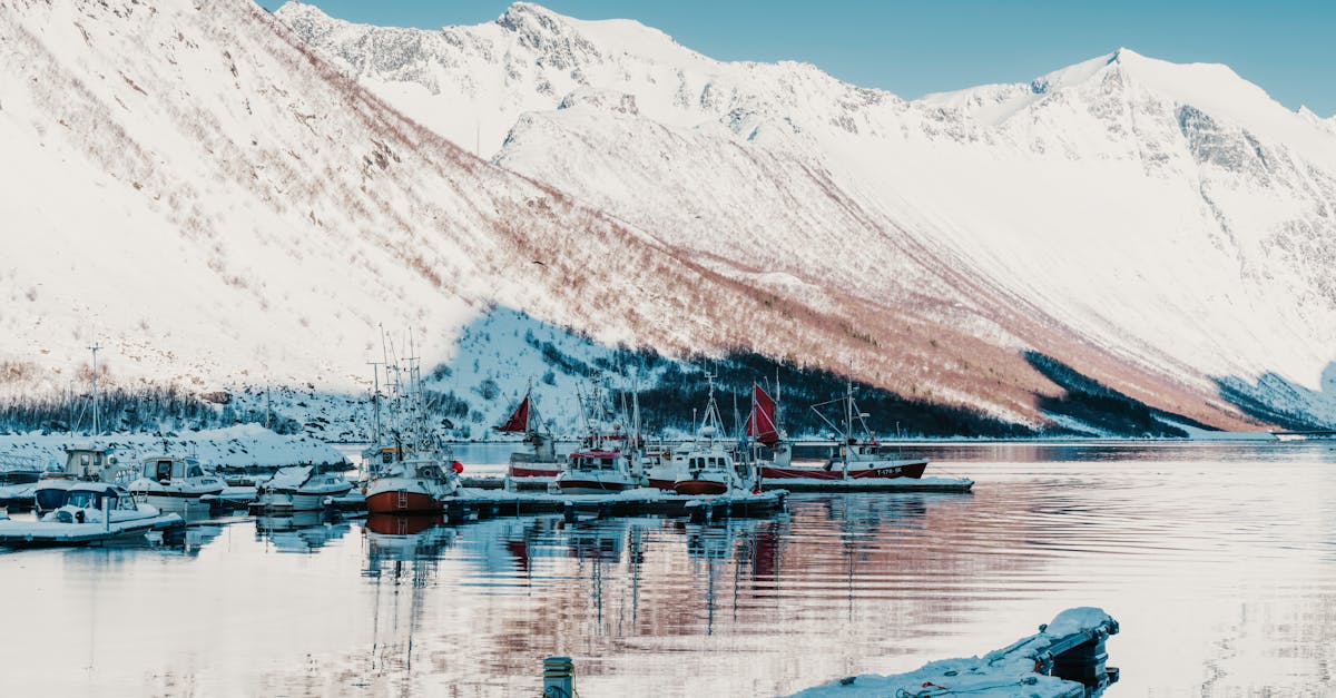 découvrez la délicieuse simplicité des frites surgelées, prêtes à être cuites pour accompagner vos plats préférés. parfaites pour un repas rapide ou un apéritif convivial, ces frites offrent un croustillant irrésistible et un goût savoureux en toute saison.