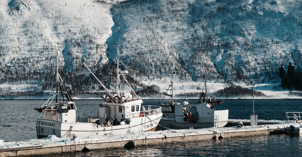 découvrez nos délicieuses frites surgelées, croustillantes à souhait et prêtes en quelques minutes. parfaites pour accompagner vos plats ou comme en-cas, elles sont le choix idéal pour un repas rapide et savoureux.