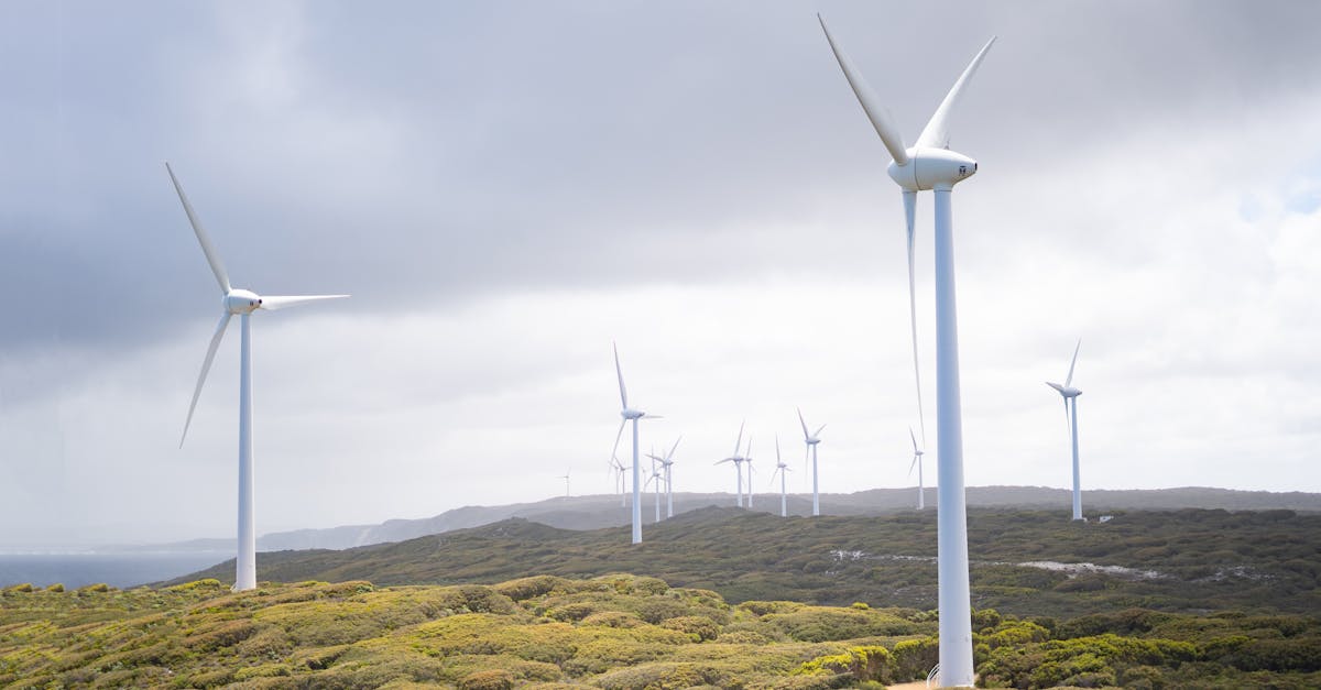 découvrez les nouvelles tendances et innovations en matière d'énergie renouvelable. apprenez comment ces sources d'énergie durables contribuent à la protection de notre planète tout en offrant des solutions efficaces et économiques pour un avenir plus vert.
