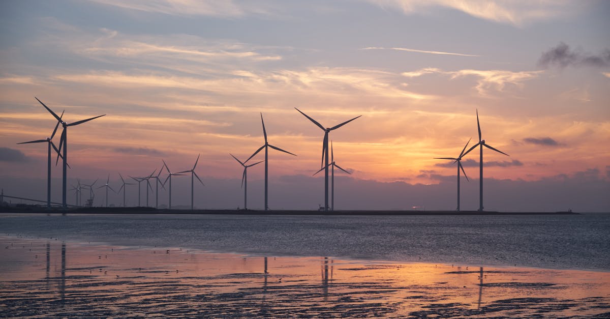 découvrez les avantages de l'énergie renouvelable, une solution durable pour un avenir écologique. explorez les différentes sources telles que le solaire, l'éolien et l'hydroélectrique, et apprenez comment elles contribuent à réduire les émissions de carbone tout en répondant à nos besoins énergétiques.