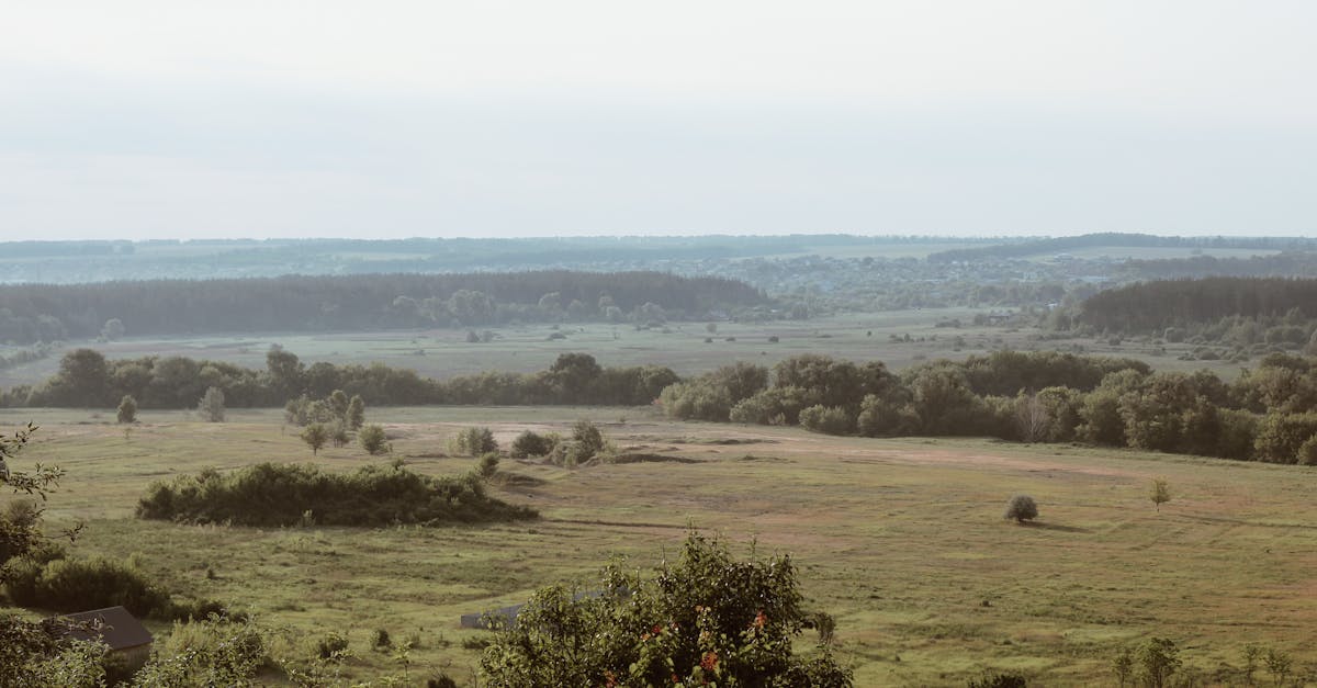 découvrez l'ukraine, un pays riche en histoire, culture et paysages époustouflants. explorez ses villes vibrantes, ses traditions authentiques et les défis actuels qu'elle traverse.