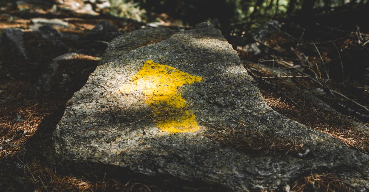 découvrez tout ce qu'il faut savoir sur l'orientation, qu'il s'agisse de choix scolaires, professionnels ou personnels. nos conseils pratiques et ressources vous aideront à trouver la voie qui vous correspond le mieux.