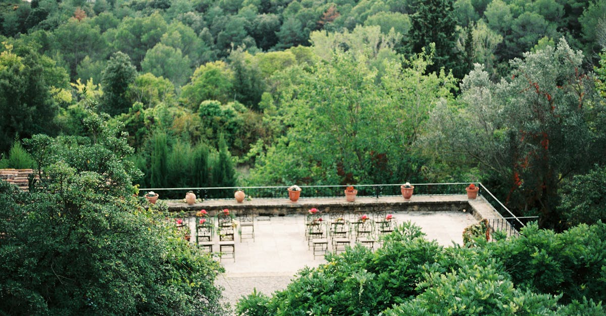 découvrez des idées inspirantes pour des mariages à destination inoubliables. transformez votre rêve en réalité en choisissant des lieux enchanteurs pour célébrer votre amour, entouré de vos proches.