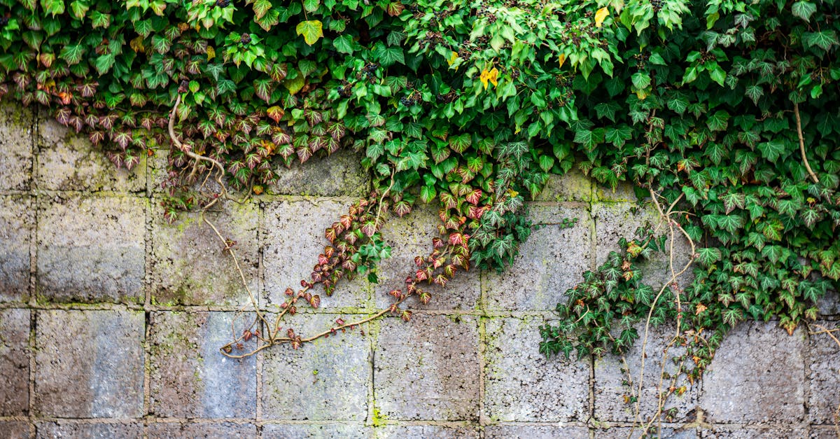 découvrez l'hydrogène vert, une alternative durable et propre aux énergies fossiles. explorez ses avantages pour l'environnement, son rôle dans la transition énergétique et les technologies innovantes qui façonnent notre avenir énergétique.