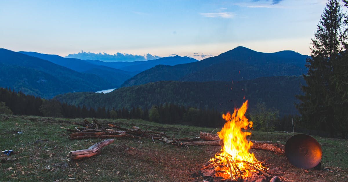 découvrez tout sur le feu : son importance dans la nature, son utilisation à travers l'histoire et ses implications dans la sécurité et l'environnement. apprenez à maîtriser cet élément essentiel avec nos conseils pratiques et informations spécifiques.