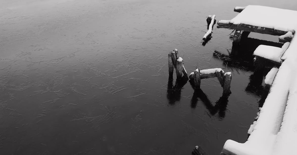 découvrez la magie d'une neige inattendue qui transforme le paysage en un havre féerique. plongez dans les merveilles de l'hiver et laissez-vous surprendre par les joies d'une chute de neige imprévue.