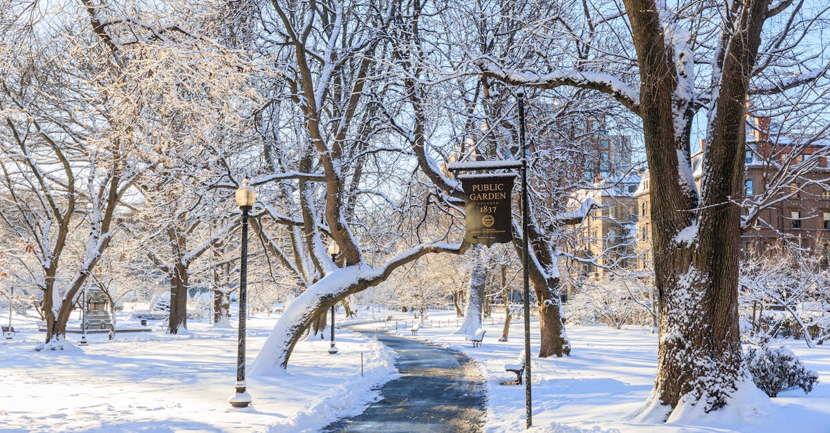 découvrez l'émerveillement de la neige inattendue ! plongez dans un paysage féerique où les flocons recouvrent le sol, transformant chaque coin de la ville en une toile blanche. profitez des activités hivernales et des moments magiques en famille.