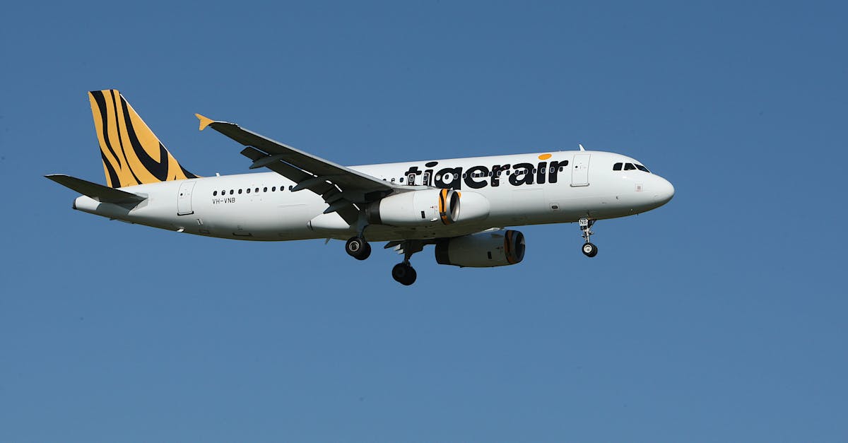 découvrez l'univers d'airbus, leader mondial de l'aéronautique, qui transforme chaque vol en une expérience unique grâce à des innovations technologiques de pointe et des avions de dernière génération.