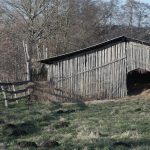 découvrez la réponse européenne aux défis contemporains, explorant les politiques, les stratégies et l'engagement des pays membres pour promouvoir la coopération et la sécurité au sein de l'union européenne.