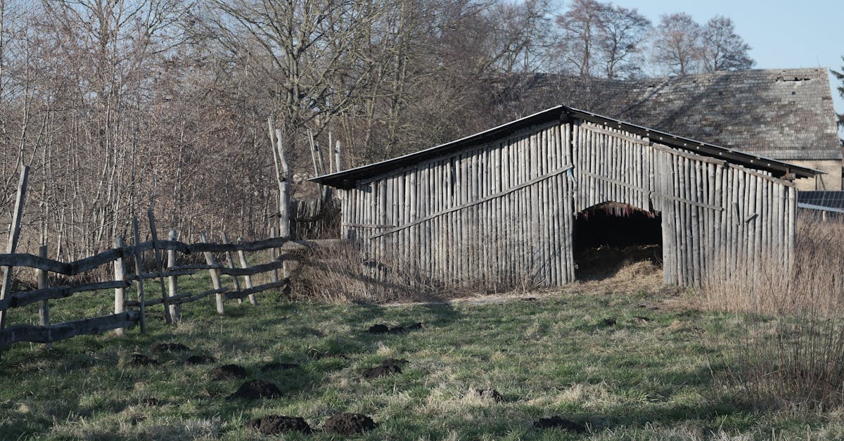 découvrez la réponse européenne aux défis contemporains, explorant les politiques, les stratégies et l'engagement des pays membres pour promouvoir la coopération et la sécurité au sein de l'union européenne.