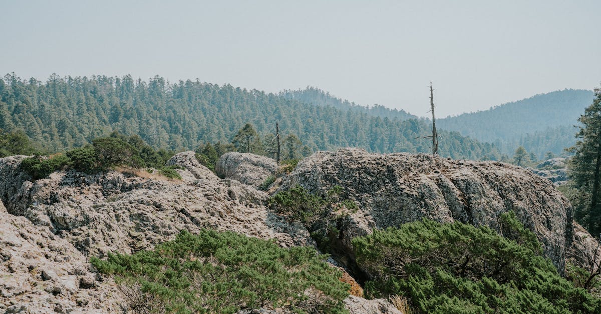 découvrez l'univers fascinant de l'impasse, un lieu à la fois mystérieux et captivant, où chaque chemin peut mener à une nouvelle perspective. explorez nos articles qui mettent en lumière les secrets des impasses et leur impact sur notre quotidien.