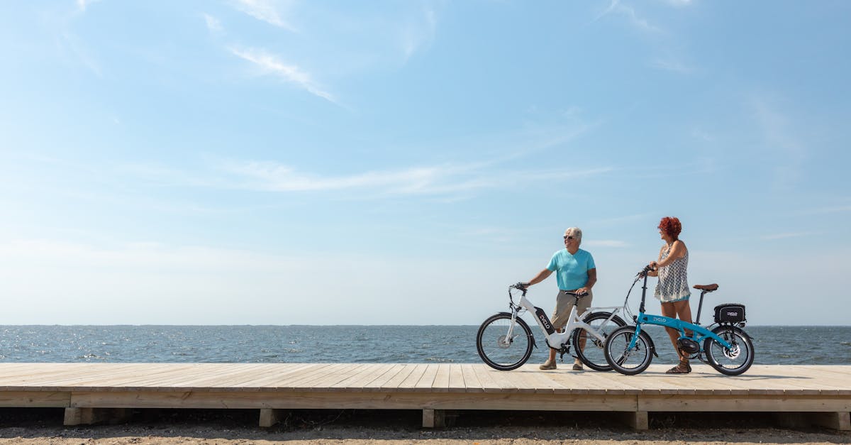 découvrez l'avenir de la mobilité avec les véhicules électriques : une solution écologique, économique et innovante pour réduire votre empreinte carbone tout en profitant d'une conduite silencieuse et performante.