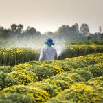 découvrez l'univers de l'agriculture, ses techniques innovantes, ses enjeux environnementaux et son impact sur l'économie. explorez les pratiques durables et les tendances qui façonnent l'avenir de cette industrie essentielle.