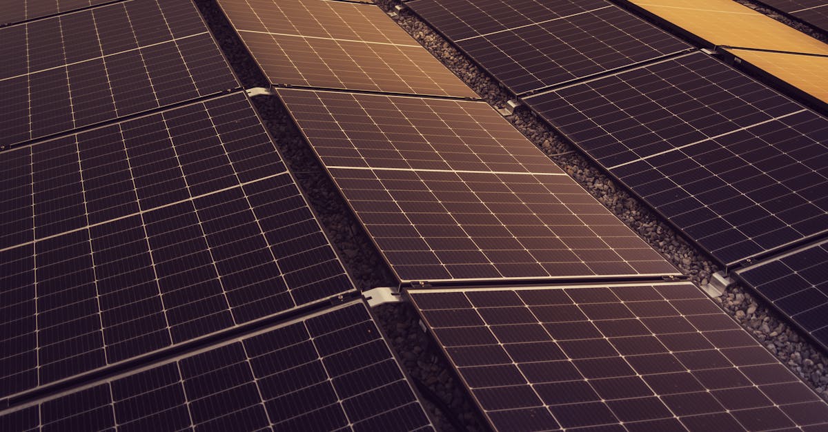 découvrez comment protéger notre climat grâce à des actions simples et efficaces. rejoignez-nous pour comprendre l'importance de la durabilité et des initiatives en faveur de l'environnement pour un avenir meilleur.