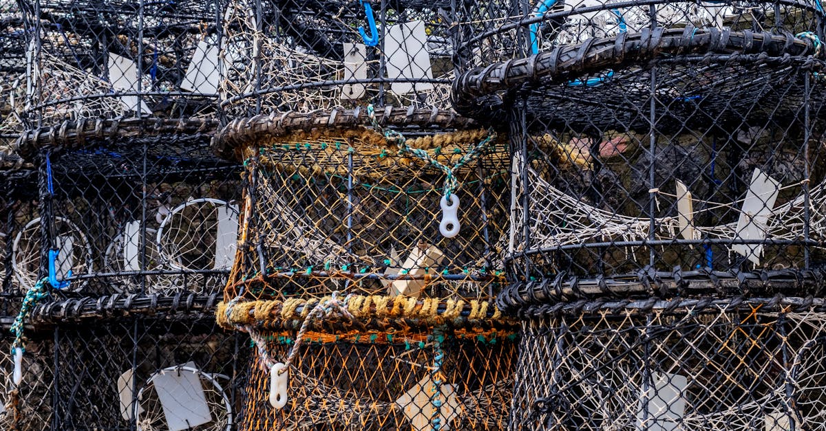 découvrez les enjeux et techniques de la pêche en profondeur avec le chalutage en haute mer. explorez comment cette méthode de pêche influence les écosystèmes marins et les pratiques durables à adopter.
