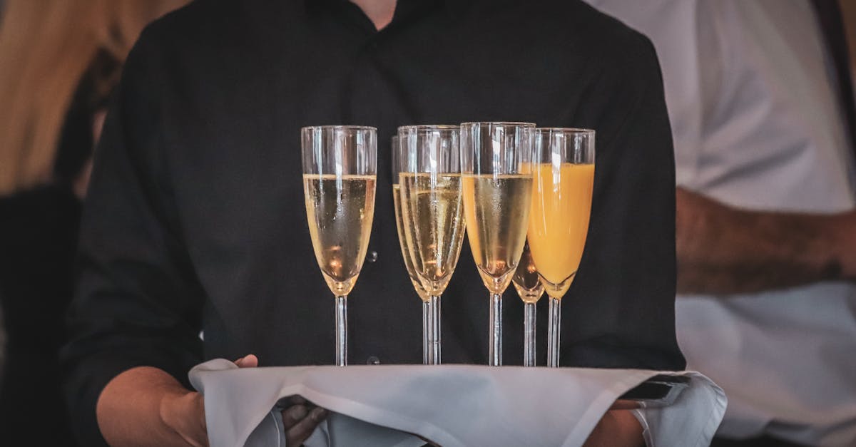 découvrez l'univers fascinant de l'industrie du champagne, entre traditions séculaires et innovations modernes. plongez dans les étapes de fabrication, les différentes appellations et les secrets des maisons prestigieuses qui font briller cette boisson emblématique au firmament des grands vins.