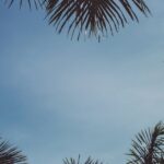 découvrez comment atteindre la neutralité climatique grâce à des stratégies durables et des actions concrètes. explorez les initiatives et les innovations qui contribuent à un avenir respectueux de l'environnement.