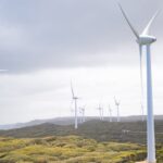 découvrez comment la décarbonisation transforme notre avenir énergétique en réduisant les émissions de carbone. explorez les stratégies, technologies et initiatives clés pour un monde plus durable et respectueux de l'environnement.