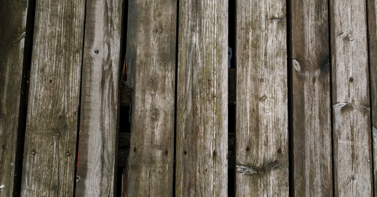 découvrez l'industrie des grains, un secteur clé de l'agriculture qui englobe la production, le traitement et la distribution de céréales. explorez les tendances, les innovations et les défis auxquels ce marché est confronté, ainsi que son impact sur l'économie mondiale.