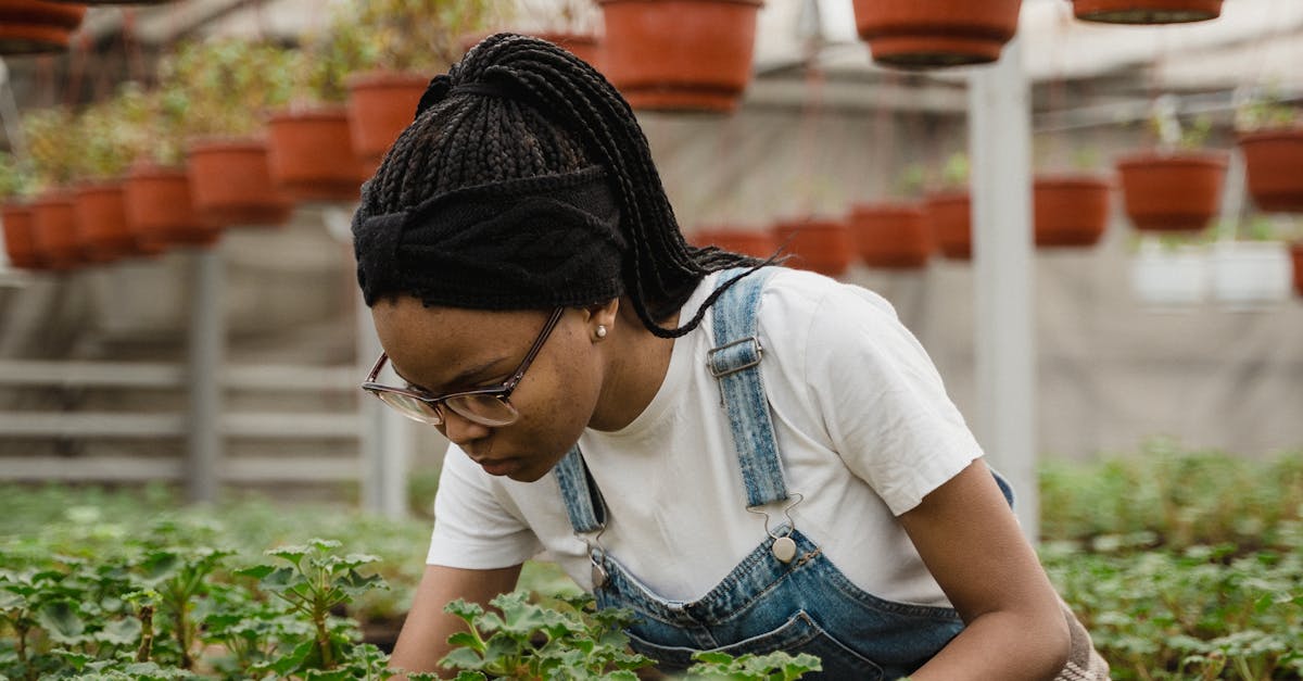 découvrez l'univers de l'industrie verte, où innovation et durabilité s'unissent pour créer des solutions respectueuses de l'environnement. explorez les avancées technologiques, les pratiques écoresponsables et les initiatives qui transforment les secteurs industrielles vers un avenir plus durable.