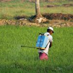 découvrez tout ce qu'il faut savoir sur les pesticides : définition, types, impacts sur l'environnement et la santé, ainsi que des alternatives pour un jardinage durable et respectueux de la nature.