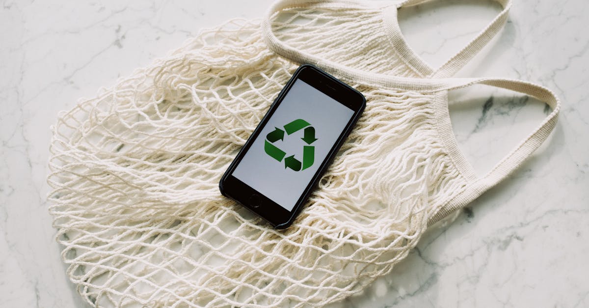 découvrez l'importance du développement durable et comment adopter un mode de vie respectueux de l'environnement. explorez des conseils pratiques, des énergies renouvelables et des initiatives écologiques pour un avenir durable.