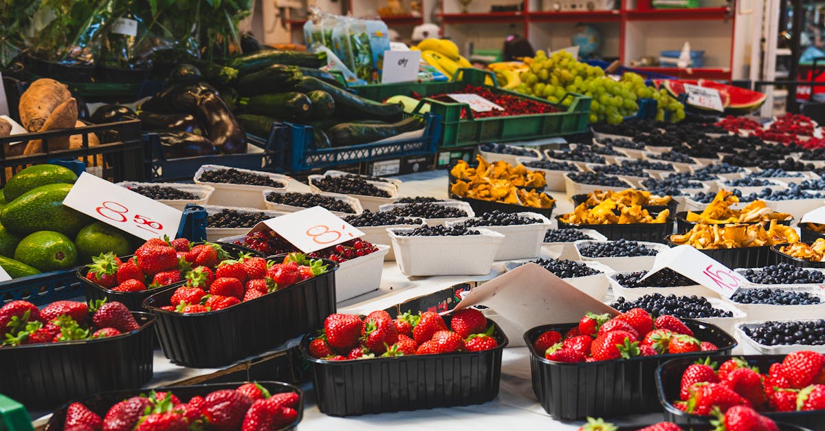 découvrez tout ce qu'il faut savoir sur la faillite : définition, processus, conséquences et options pour rebondir. informez-vous sur vos droits et les étapes à suivre pour faire face à une situation de faillite.