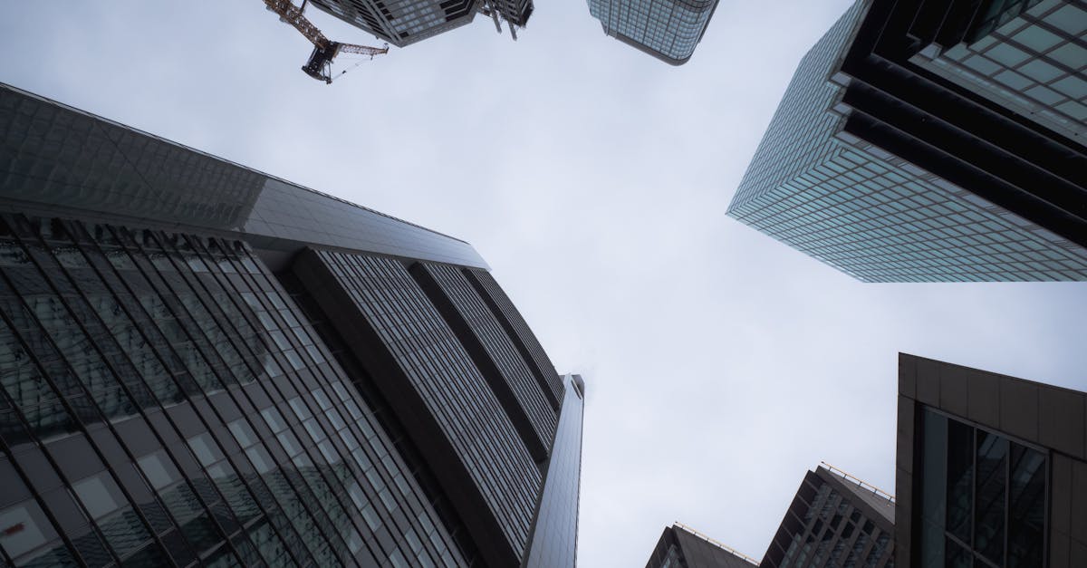 découvrez les principaux aspects de l'économie allemande, y compris sa croissance, ses secteurs clés et son impact sur l'économie européenne. explorez comment l'allemagne reste une puissance économique mondiale.