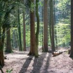 découvrez comment la réindustrialisation verte transforme l'économie en intégrant des pratiques durables et en promouvant des technologies innovantes pour un avenir plus respectueux de l'environnement.