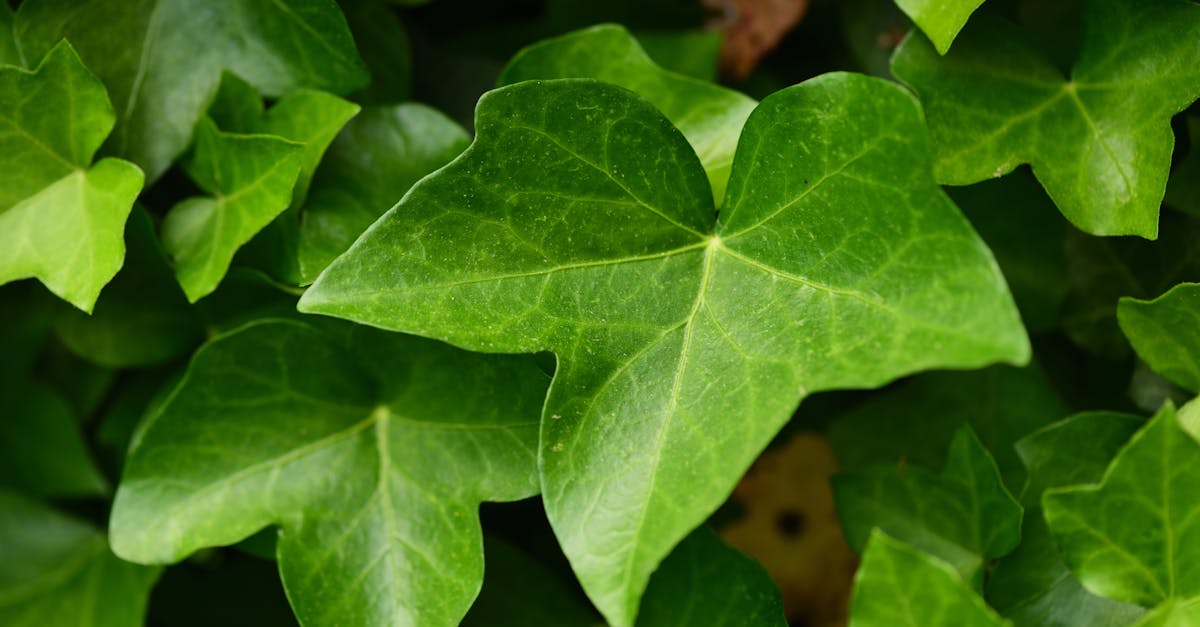 découvrez la hannover messe, la foire industrielle de référence en europe, où les innovateurs et les leaders du secteur se rencontrent pour dévoiler les dernières avancées technologiques et solutions industrielles. rejoignez-nous pour explorer les tendances du futur et nouer des partenariats stratégiques.