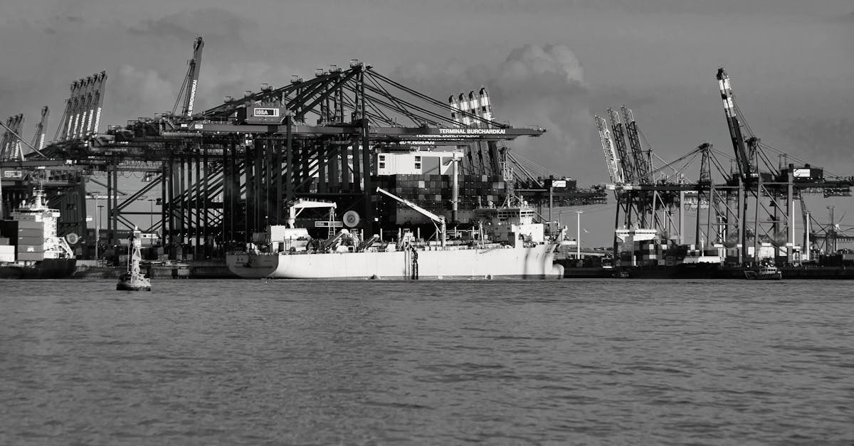 découvrez les tendances et les analyses sur les importations d'acier, y compris les principaux pays exportateurs, l'impact des tarifs douaniers et les perspectives du marché. restez informé sur l'évolution du secteur et les enjeux économiques associés aux importations d'acier.