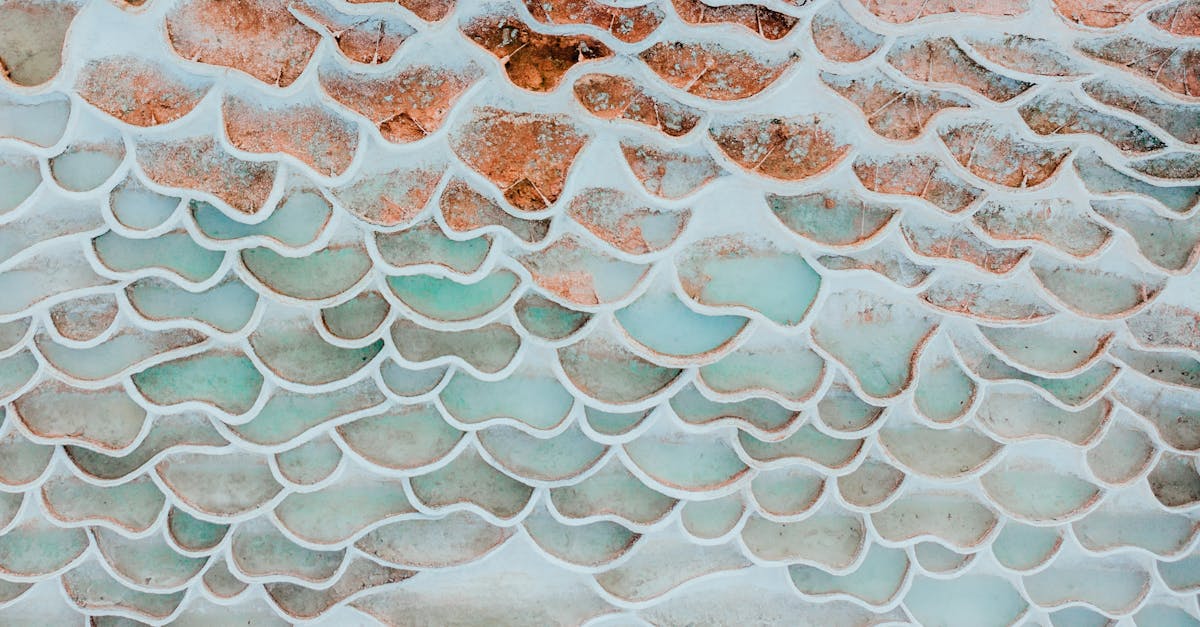 découvrez l'univers fascinant des drones : des conseils d'achat aux meilleures pratiques de pilotage, explorez comment ces appareils révolutionnent la prise de vue aérienne, la livraison de colis et bien plus encore. restez à la pointe de la technologie avec nos guides et astuces sur les drones.