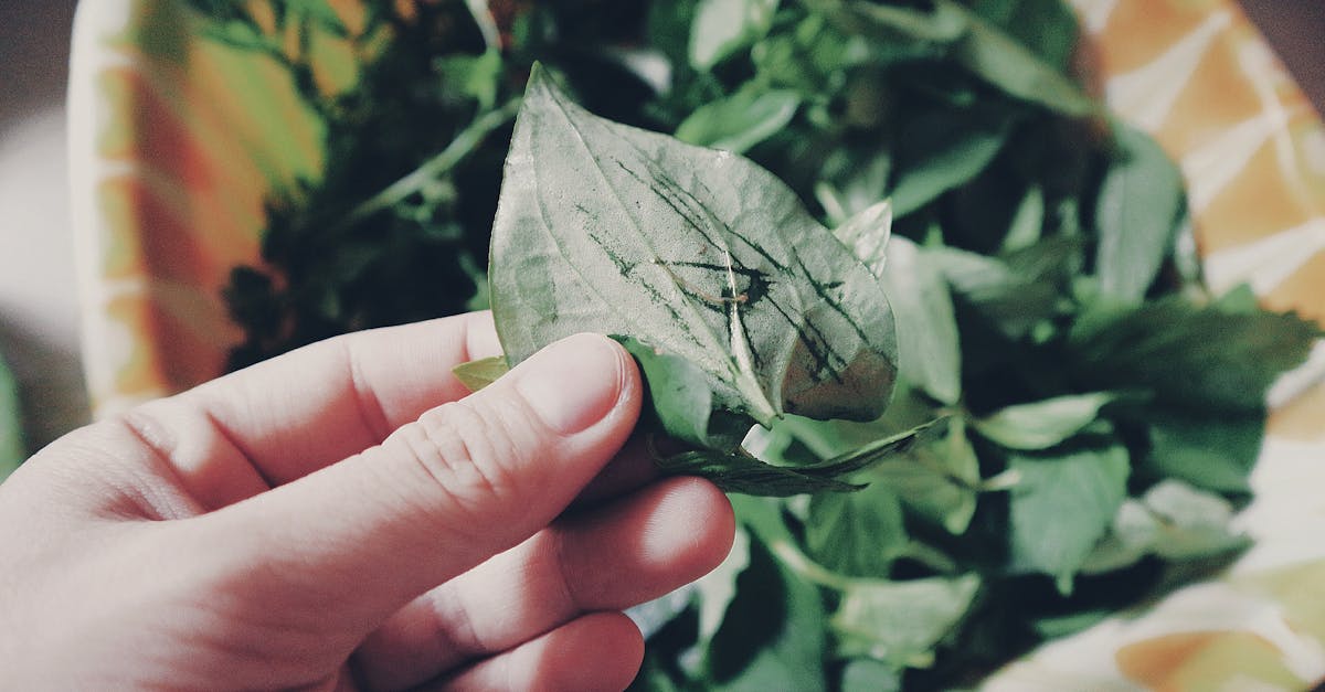 découvrez comment la croissance basée sur la peur peut influencer vos décisions et votre développement personnel. apprenez à transcender vos appréhensions pour embrasser une évolution positive et durable dans votre vie.