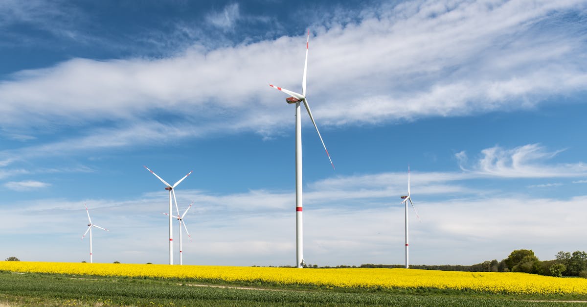 découvrez les dernières tendances et analyses concernant la croissance du pib allemand. obtenez des informations précieuses sur l'économie allemande, ses moteurs de croissance et les perspectives futures.