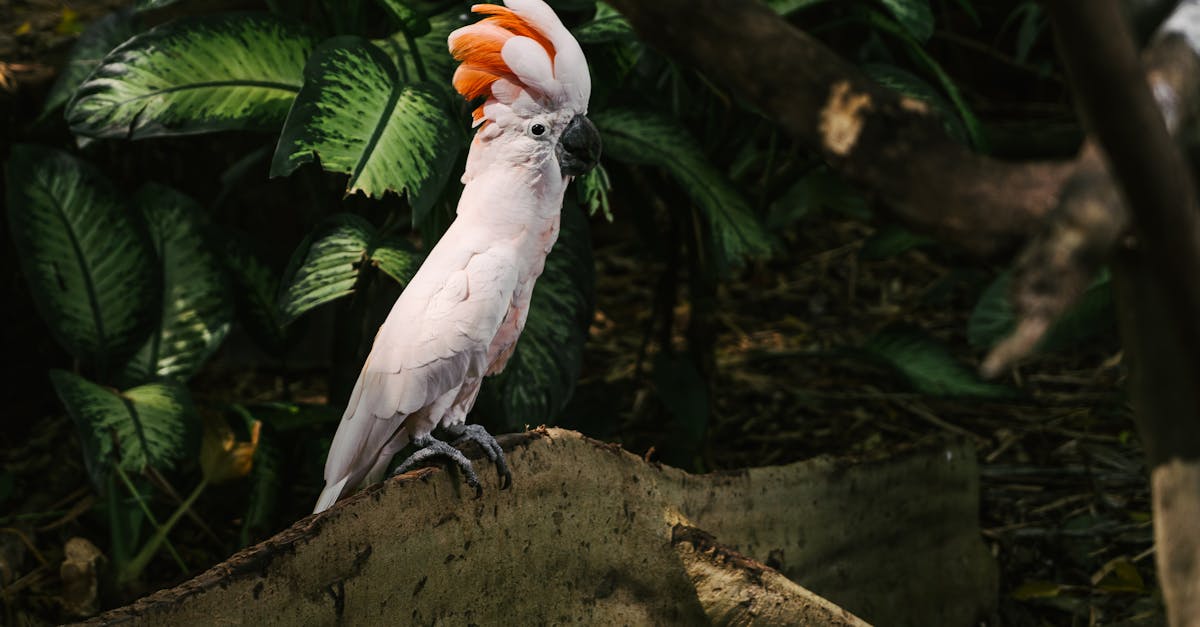 découvrez le monde fascinant des terres rares, des éléments essentiels à la technologie moderne, à l'énergie verte et à l'innovation. explorez leur importance croissante dans les industries de demain et les enjeux liés à leur extraction et leur utilisation durable.