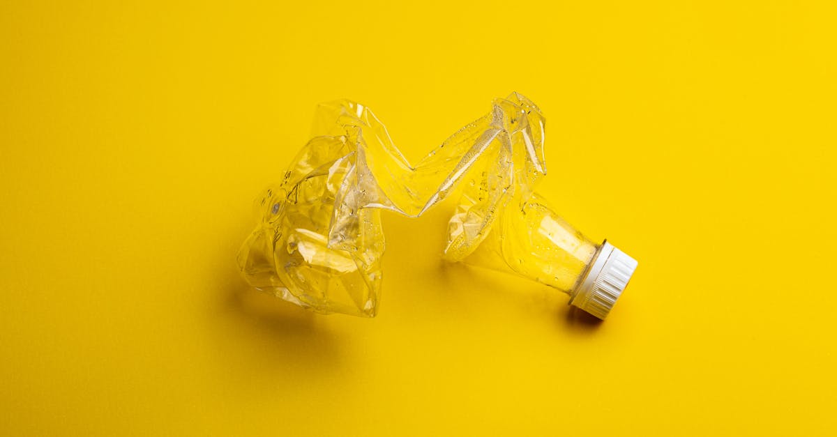 découvrez l'importance du recyclage pour préserver notre planète. apprenez des astuces pratiques pour recycler efficacement et réduire votre empreinte écologique tout en contribuant à un avenir durable.