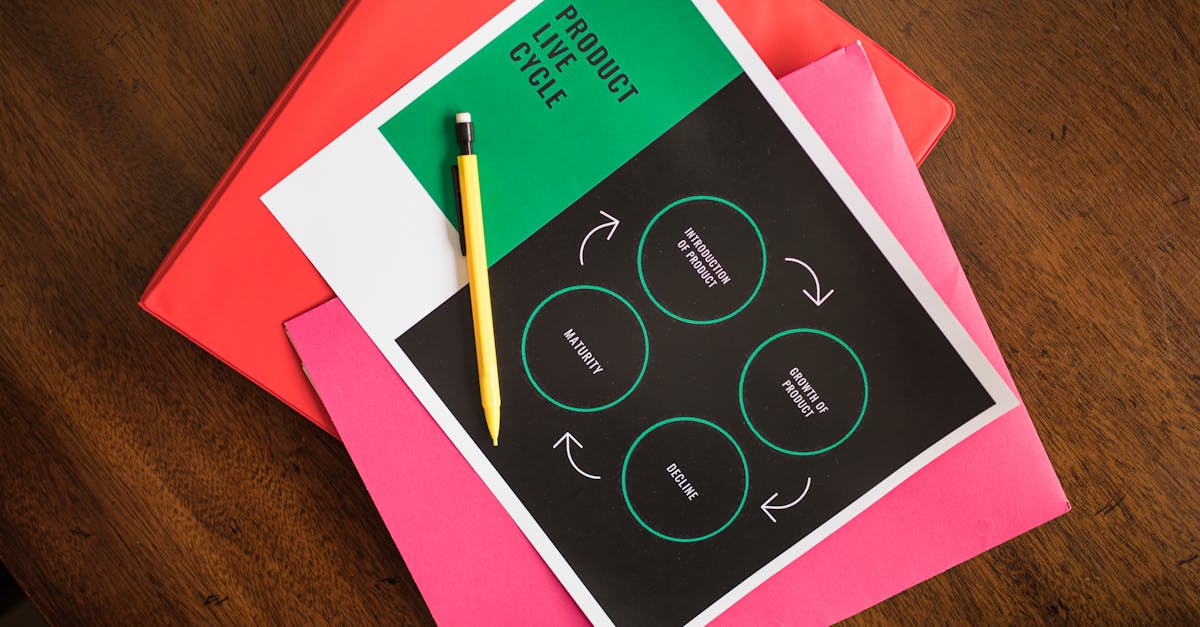 découvrez le thème du déclin à travers une analyse approfondie des facteurs économiques, sociaux et environnementaux qui contribuent à ce phénomène. apprenez à identifier les signes de déclin dans divers contextes et explorez des solutions innovantes pour inverser cette tendance.