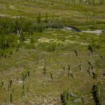découvrez le monde fascinant des terres rares, ces matériaux essentiels à la technologie moderne. explorez leur importance dans les industries du numérique, de l'énergie et de l'automobile, ainsi que leur impact environnemental et économique.