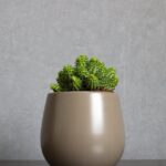 découvrez les terres rares, des éléments essentiels pour de nombreuses technologies modernes. apprenez leur importance dans l'électronique, les énergies renouvelables et leurs applications industrielles. explorez le marché, les enjeux écologiques et l'avenir de ces ressources uniques.