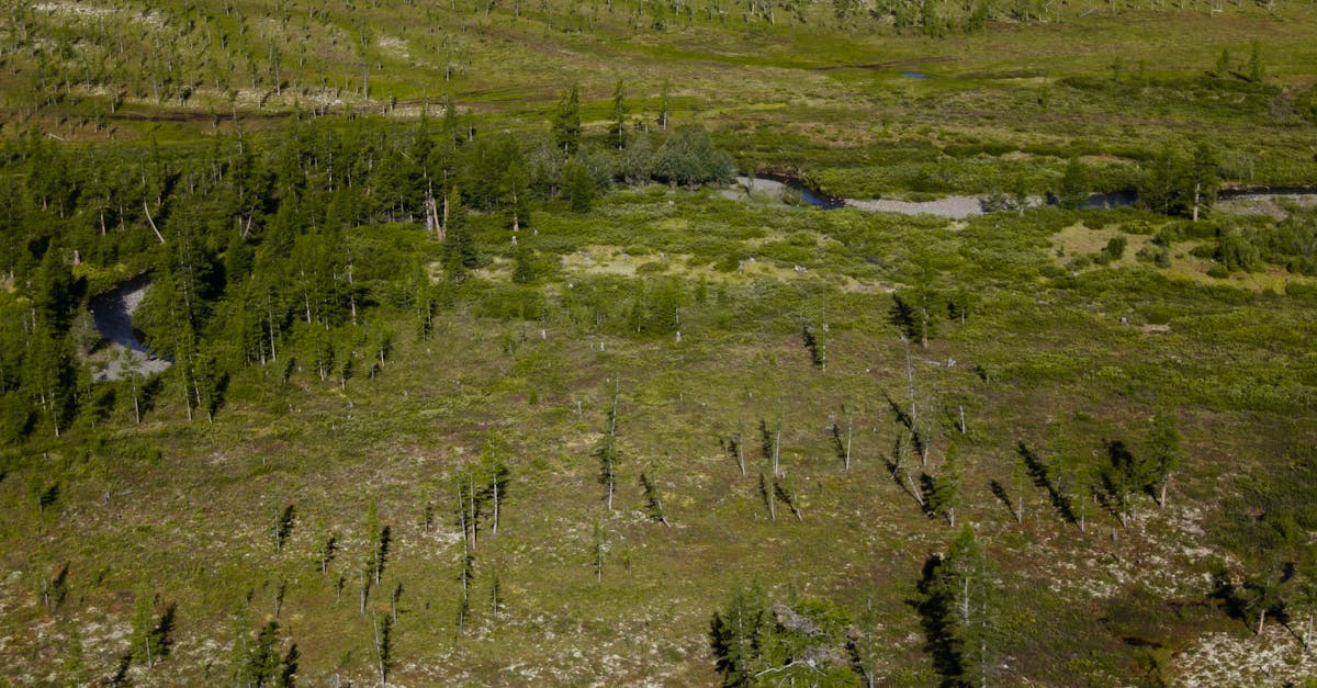 découvrez le monde fascinant des terres rares, ces matériaux essentiels à la technologie moderne. explorez leur importance dans les industries du numérique, de l'énergie et de l'automobile, ainsi que leur impact environnemental et économique.