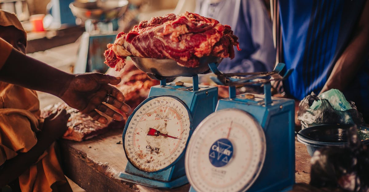 découvrez l'importance de la balance commerciale, un indicateur clé de la santé économique d'un pays. analysez les exportations et les importations et comprenez comment ce rapport affecte le développement économique.