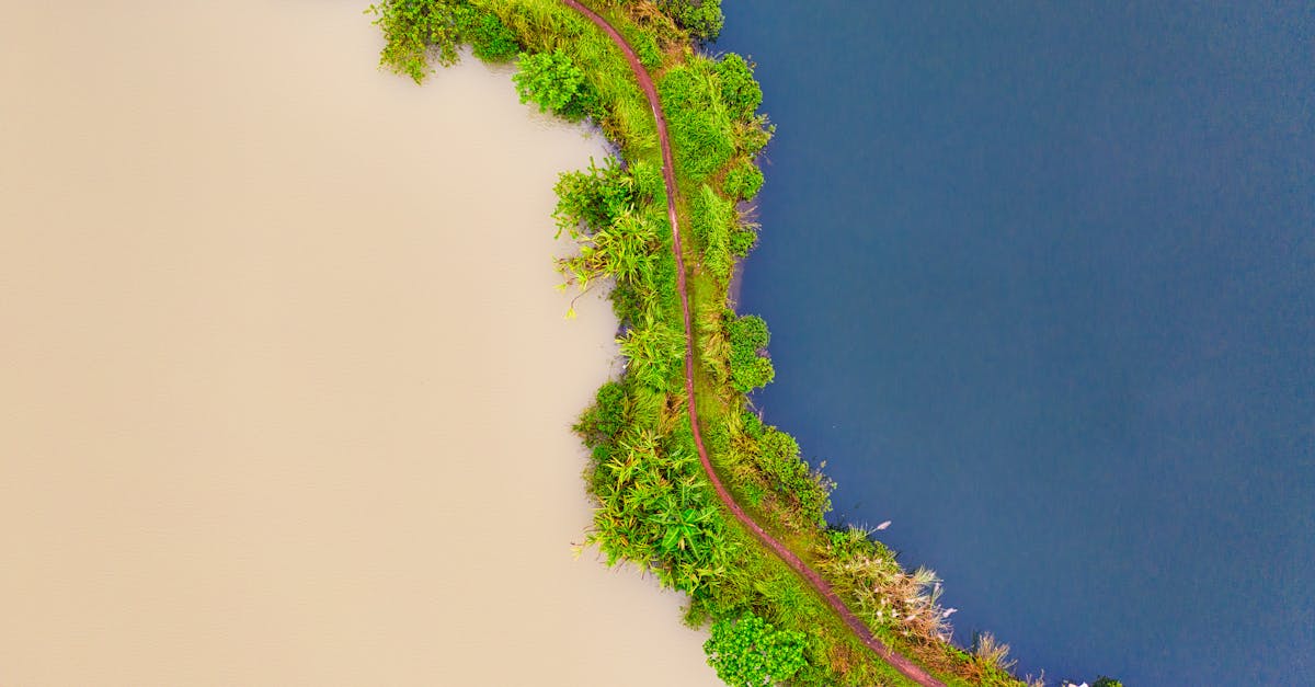 découvrez comment le secteur du voyage connaît une croissance remarquable, analysez les tendances et les opportunités qui façonnent l'avenir du tourisme. informez-vous sur les impacts économiques et les nouvelles destinations à explorer.