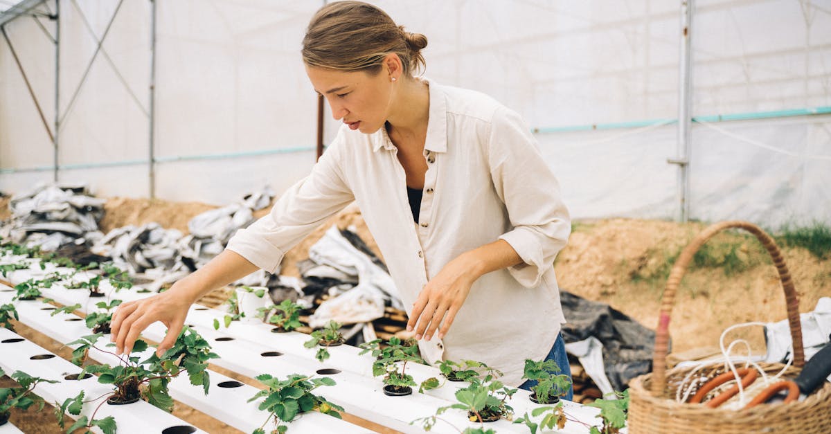 découvrez l'importance de la conservation de l'eau et apprenez des gestes simples pour préserver cette précieuse ressource. informez-vous sur les techniques et les initiatives pour économiser l'eau au quotidien.