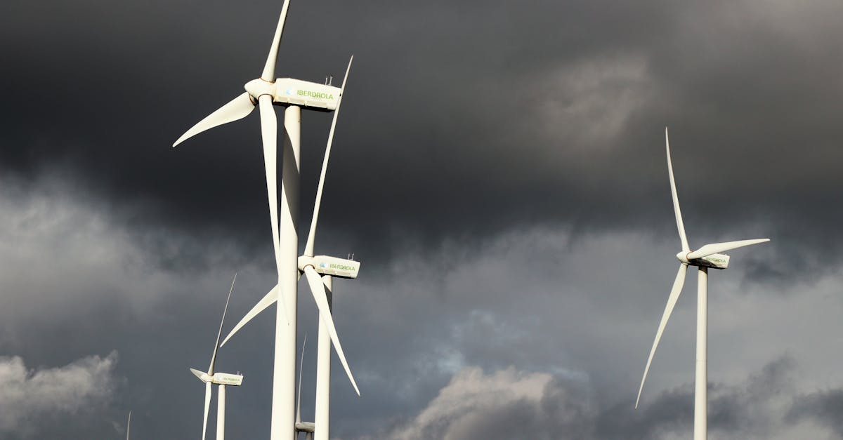 découvrez l'énergie éolienne, une source d'énergie renouvelable essentielle pour un avenir durable. apprenez comment les éoliennes transforment le vent en électricité et contribuent à la lutte contre le changement climatique.