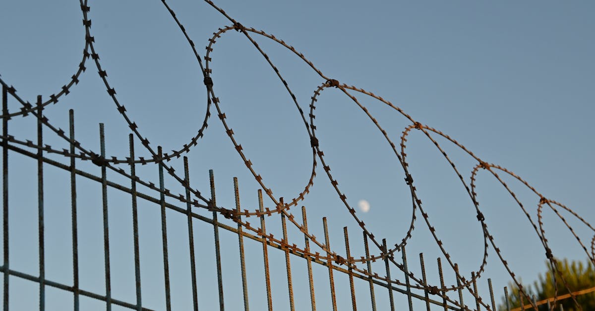 découvrez les enjeux et les implications de l'accord de défense danois, un pacte stratégique qui renforce la sécurité nationale et internationale, tout en favorisant la coopération militaire en scandinavie.