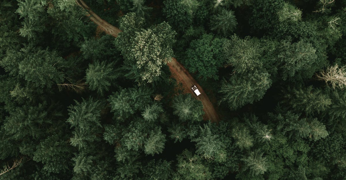 découvrez l'univers fascinant des drones ! explorez les différents types de drones, leurs applications variées et les dernières innovations technologiques. que vous soyez amateur ou professionnel, trouvez des conseils pratiques, des guides d'achat et des actualités sur les drones.