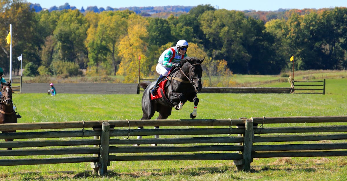 découvrez tout ce qu'il faut savoir sur les sanctions : définition, types, enjeux juridiques et impact sur les individus et les entreprises. restez informé des dernières actualités et analyses liées aux mesures punitives à l'échelle nationale et internationale.