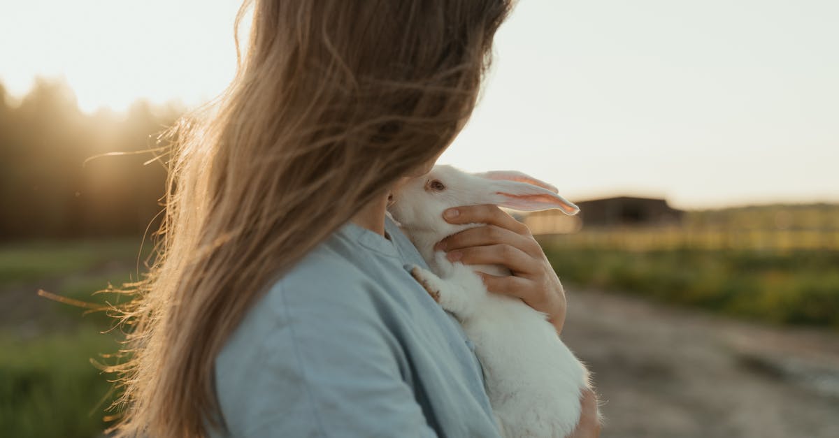 découvrez le marché des soins solaires, une industrie en pleine expansion dédiée à la protection et à l'hydratation de la peau. explorez les dernières tendances, innovations et produits phares qui répondent aux besoins de tous les types de peaux, tout en protégeant votre épiderme des effets nocifs du soleil.