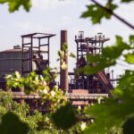 découvrez l'industrie allemande : ses secteurs clés, son innovation, ses atouts technologiques et son rôle moteur dans l'économie européenne. analyse des tendances et perspectives pour l'avenir.