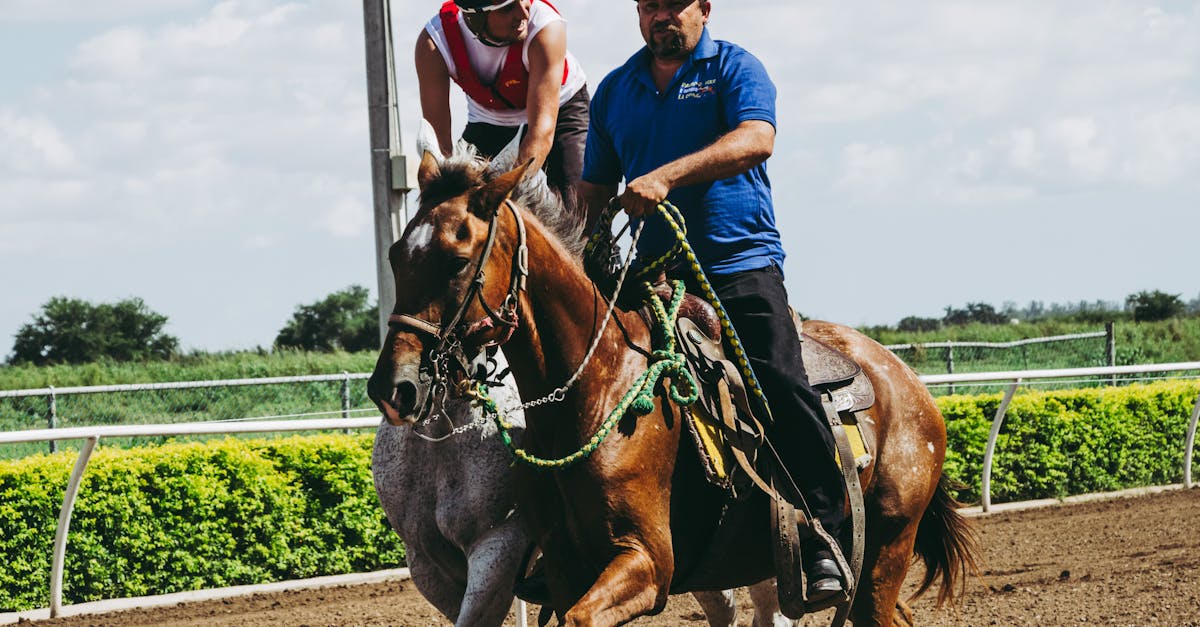 découvrez tout sur les courses de chevaux : actualités, pronostics, conseils pour parier et comprendre les règles de ce sport passionnant. suivez les événements majeurs et vivez la passion hippique !
